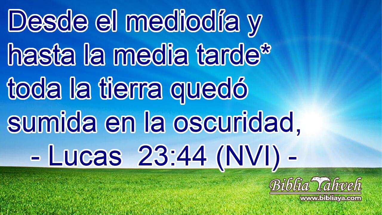  Desde el mediodía y hasta la media tarde* toda la tierra quedó sumida en la oscuridad, 
