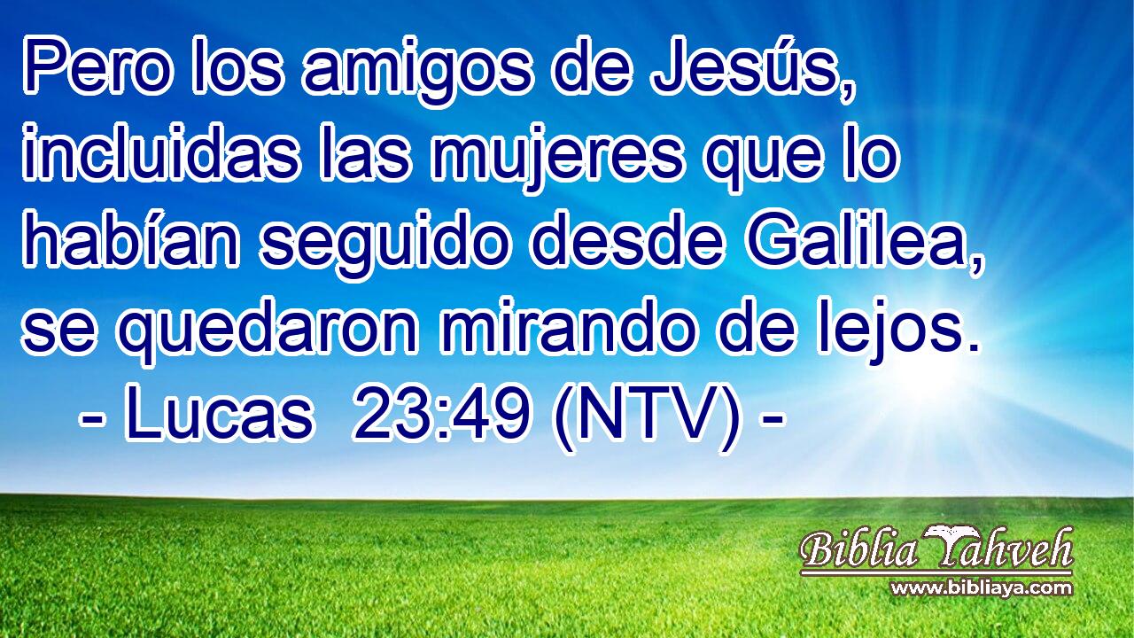 Pero los amigos de Jesús, incluidas las mujeres que lo habían seguido desde Galilea, se quedaron mirando de lejos.