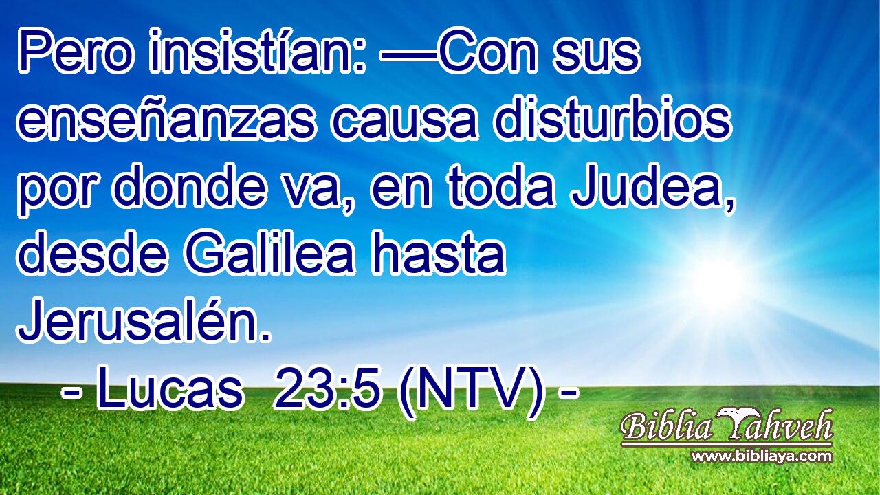 Pero insistían: —Con sus enseñanzas causa disturbios por donde va, en toda Judea, desde Galilea hasta Jerusalén.