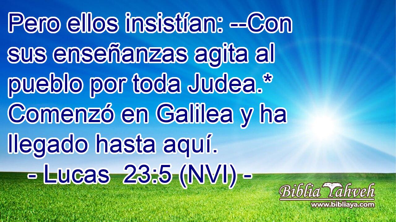  Pero ellos insistían: --Con sus enseñanzas agita al pueblo por toda Judea.* Comenzó en Galilea y ha llegado hasta aquí. 