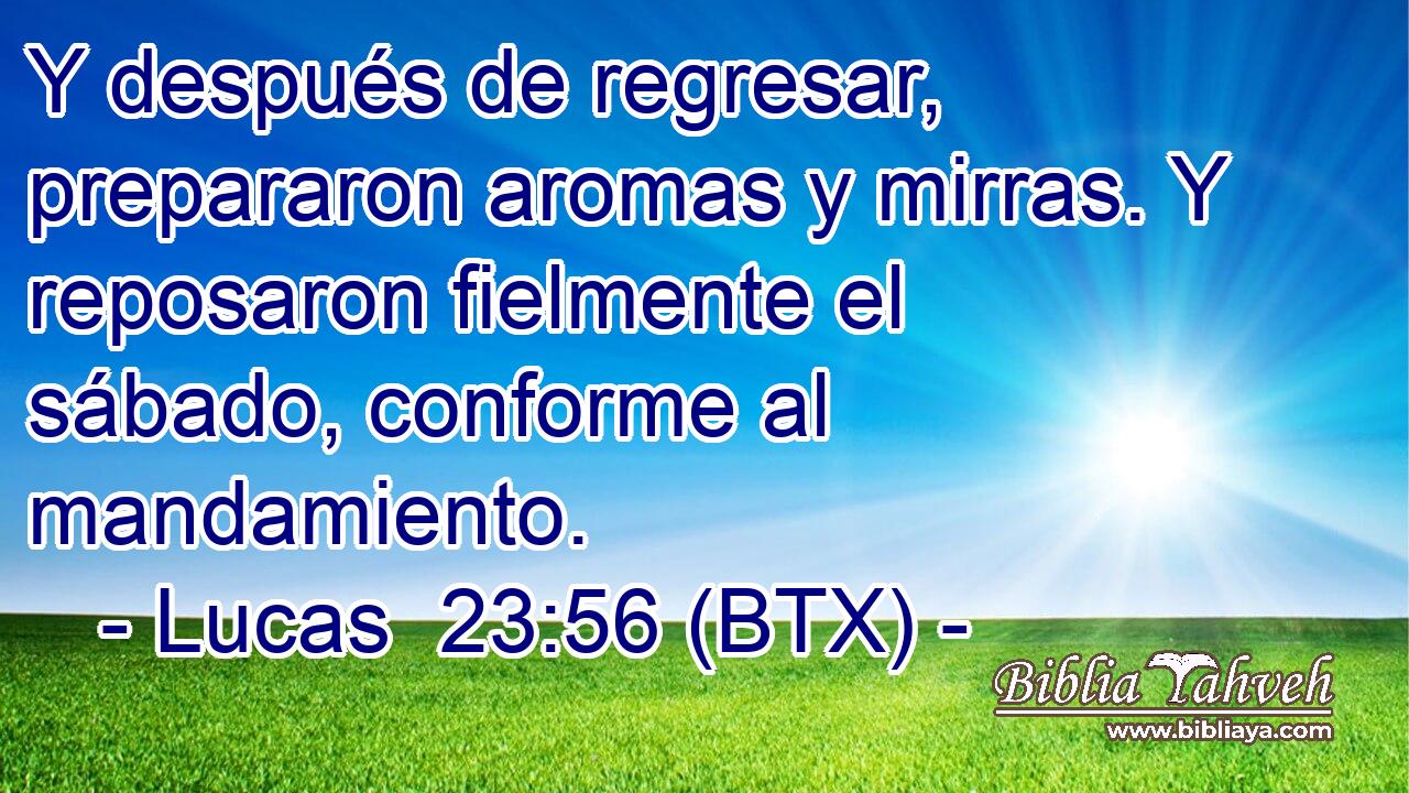 Y después de regresar, prepararon aromas y mirras. Y reposaron fielmente el sábado, conforme al mandamiento.
