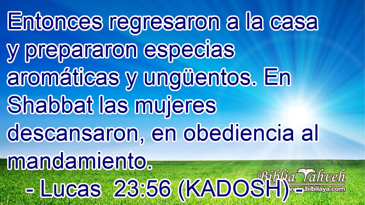  Entonces regresaron a la casa y prepararon especias aromáticas y ungüentos. En Shabbat las mujeres descansaron, en obediencia al mandamiento. 