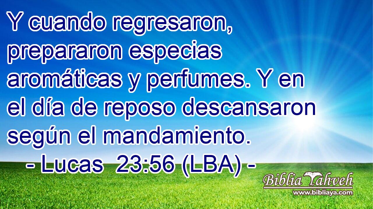 Y cuando regresaron, prepararon especias aromáticas y perfumes. Y en el día de reposo descansaron según el mandamiento.