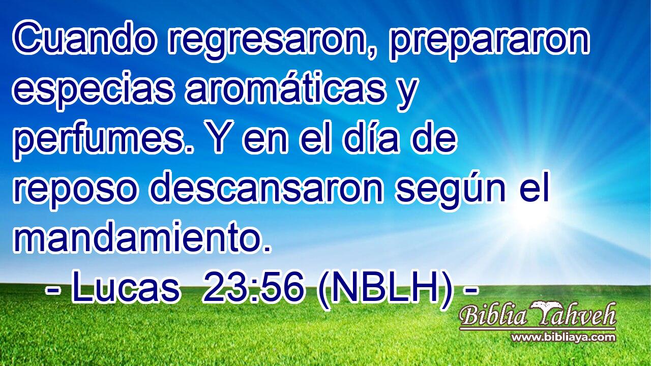 Cuando regresaron, prepararon especias aromáticas y perfumes. Y en el día de reposo descansaron según el mandamiento. 