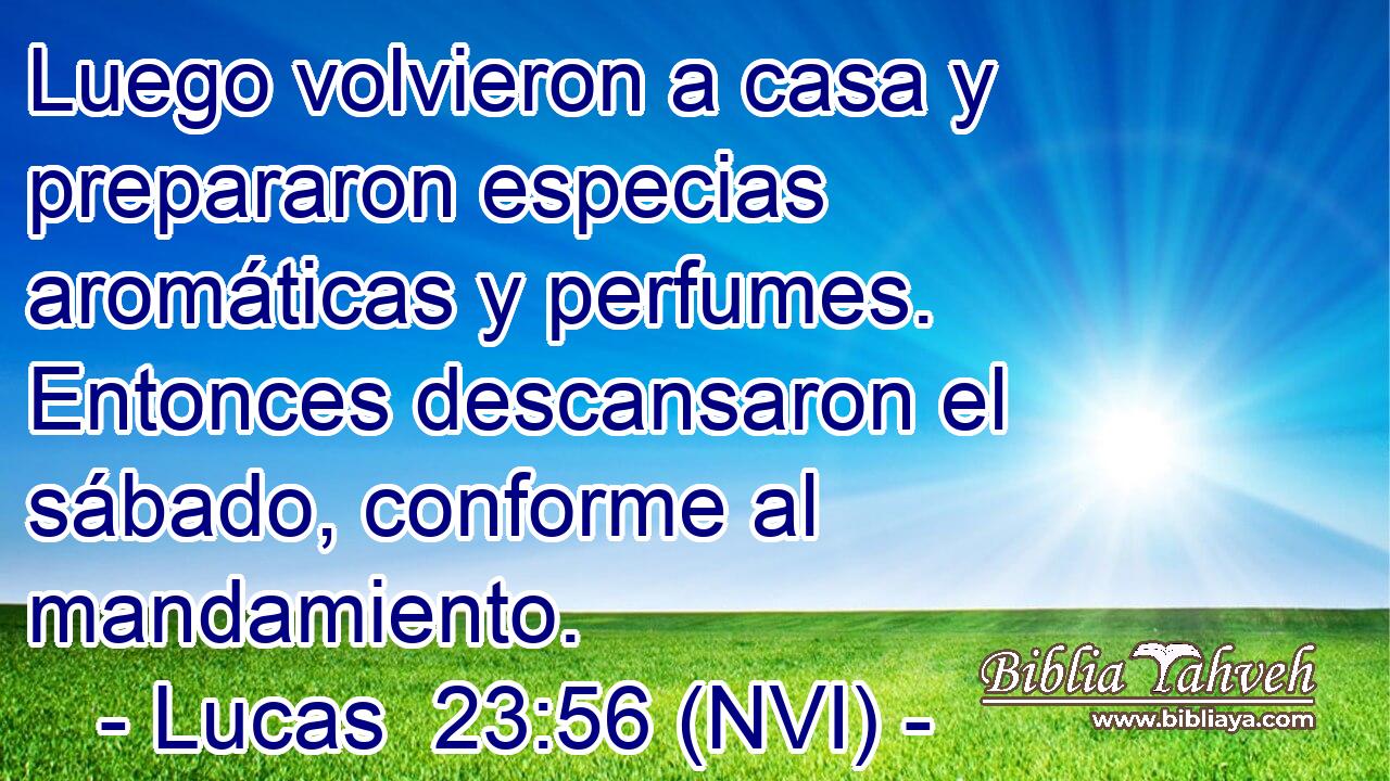  Luego volvieron a casa y prepararon especias aromáticas y perfumes. Entonces descansaron el sábado, conforme al mandamiento. 