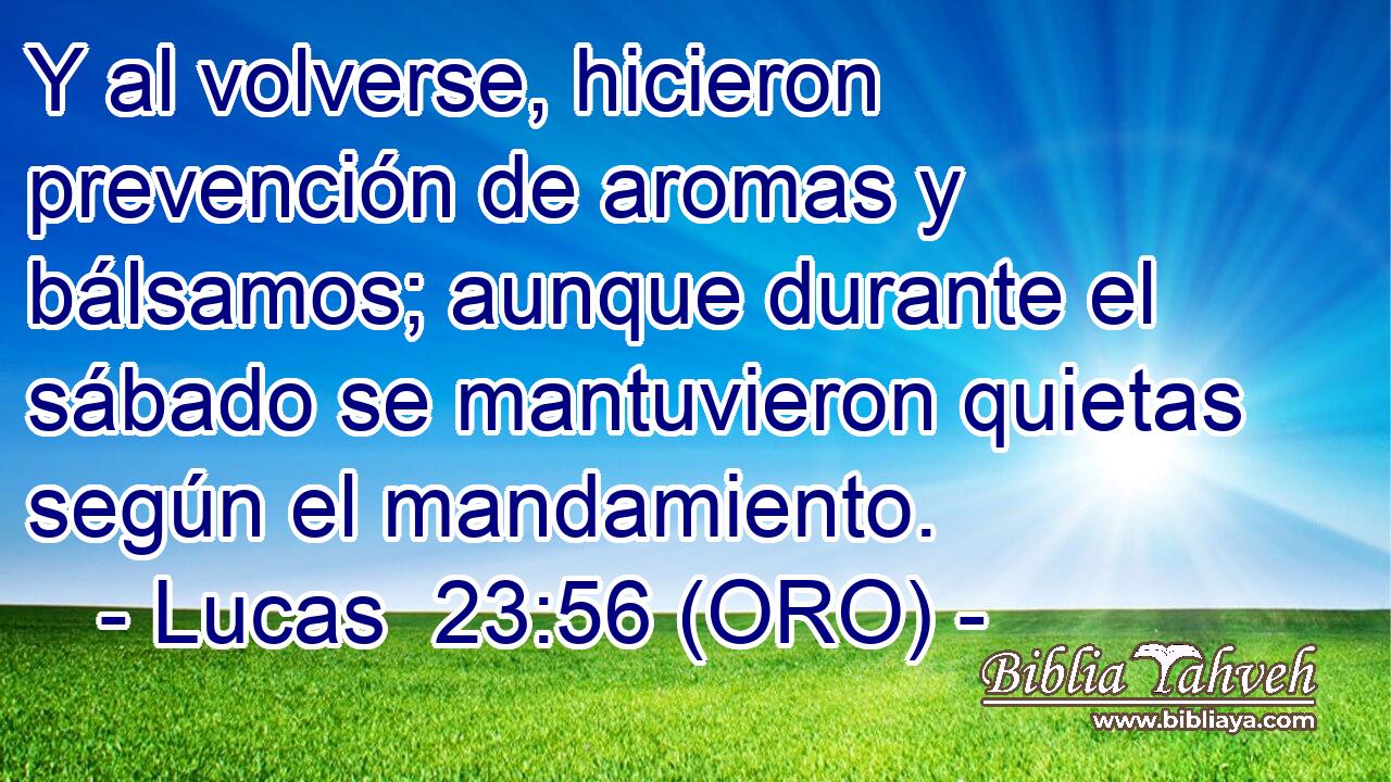 Y al volverse, hicieron prevención de aromas y bálsamos; aunque durante el sábado se mantuvieron quietas según el mandamiento. 