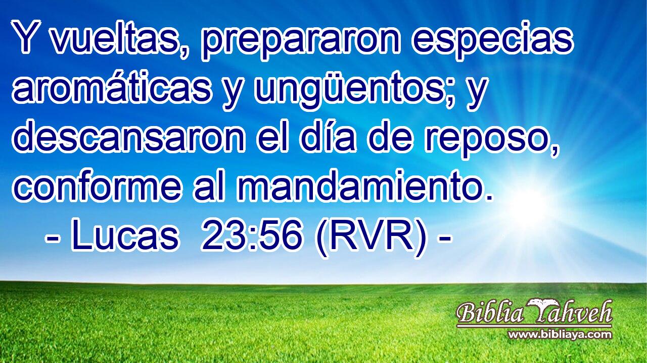 Y vueltas, prepararon especias aromáticas y ungüentos; y descansaron el día de reposo, conforme al mandamiento.