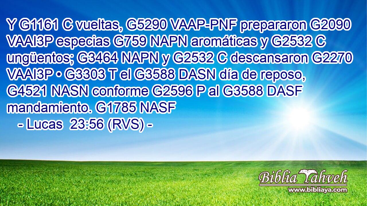 Y G1161 C vueltas, G5290 VAAP-PNF prepararon G2090 VAAI3P especias G759 NAPN aromáticas y G2532 C ungüentos; G3464 NAPN y G2532 C descansaron G2270 VAAI3P • G3303 T el G3588 DASN día de reposo, G4521 NASN conforme G2596 P al G3588 DASF mandamiento. G1785 NASF 