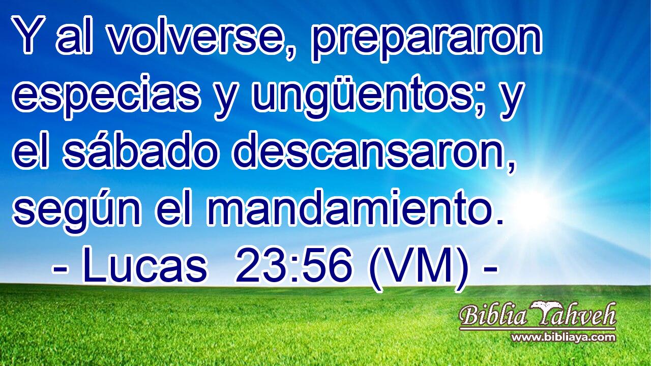  Y al volverse, prepararon especias y ungüentos; y el sábado descansaron, según el mandamiento. 