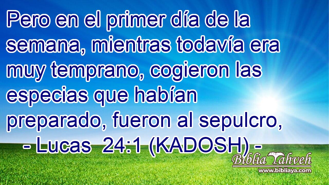  Pero en el primer día de la semana, mientras todavía era muy temprano, cogieron las especias que habían preparado, fueron al sepulcro, 