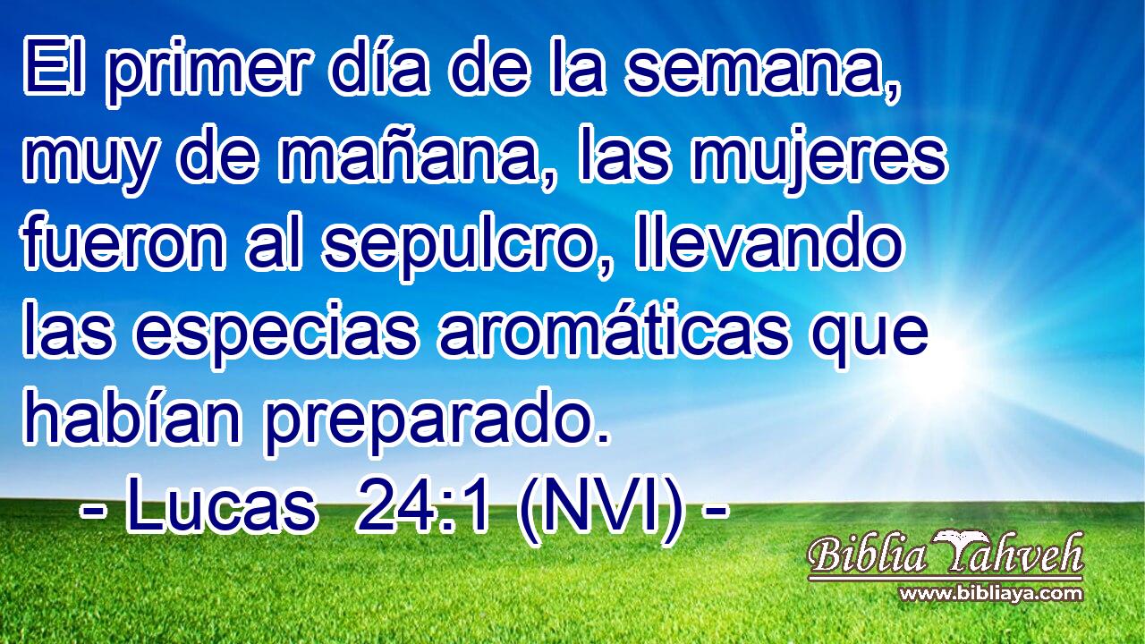 El primer día de la semana, muy de mañana, las mujeres fueron al sepulcro, llevando las especias aromáticas que habían preparado. 