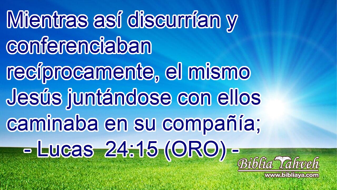  Mientras así discurrían y conferenciaban recíprocamente, el mismo Jesús juntándose con ellos caminaba en su compañía; 