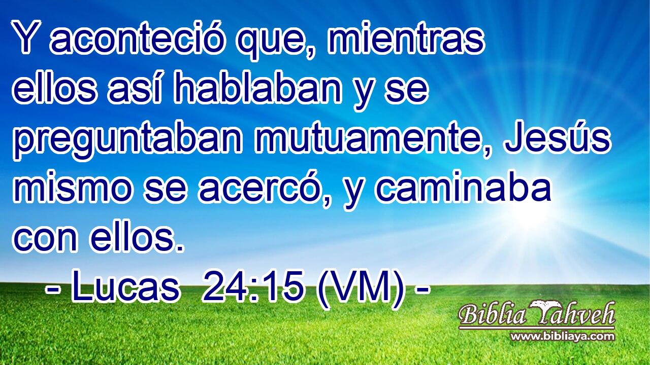  Y aconteció que, mientras ellos así hablaban y se preguntaban mutuamente, Jesús mismo se acercó, y caminaba con ellos. 