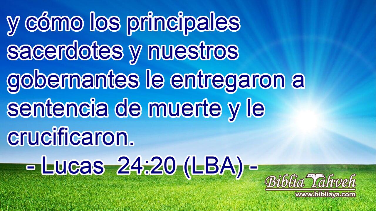 y cómo los principales sacerdotes y nuestros gobernantes le entregaron a sentencia de muerte y le crucificaron.