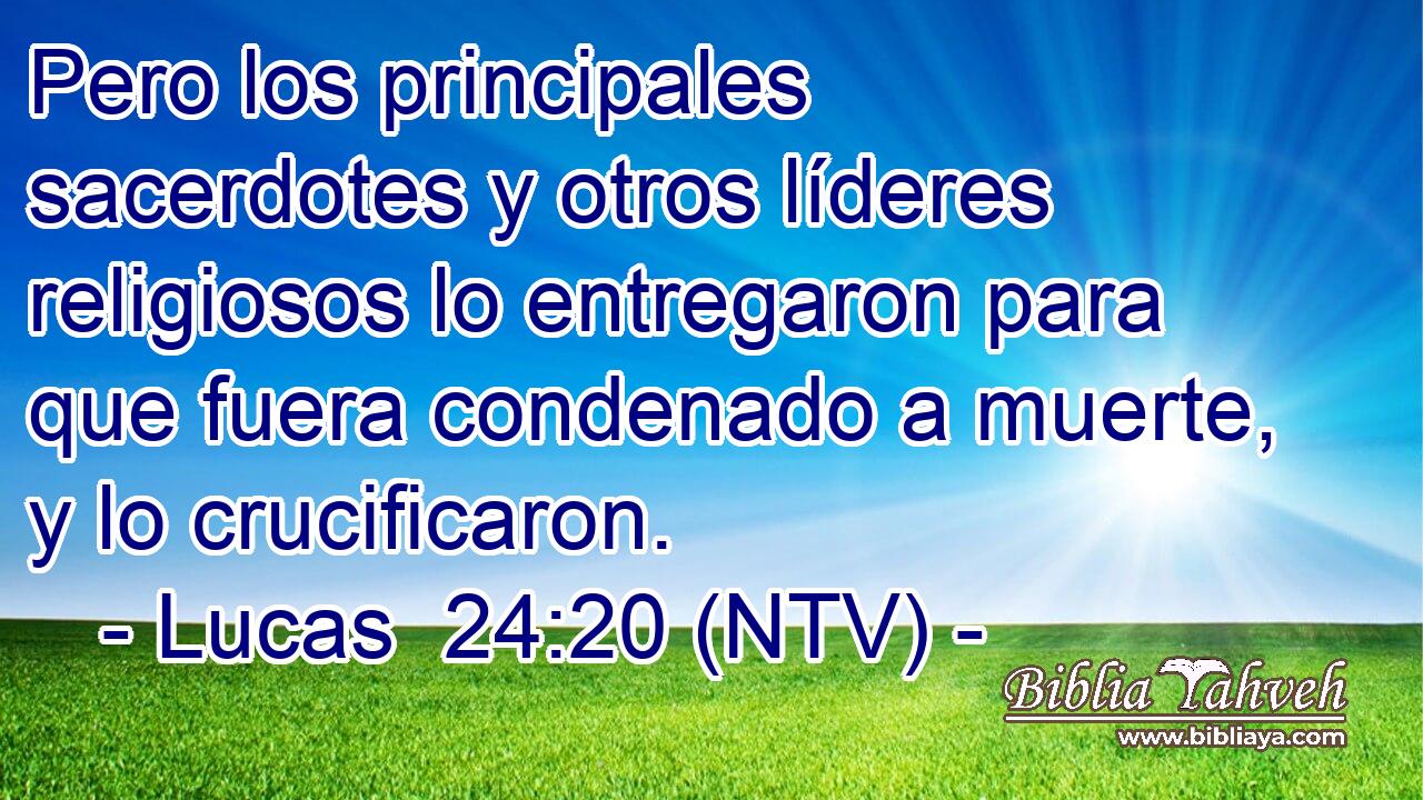 Pero los principales sacerdotes y otros líderes religiosos lo entregaron para que fuera condenado a muerte, y lo crucificaron.