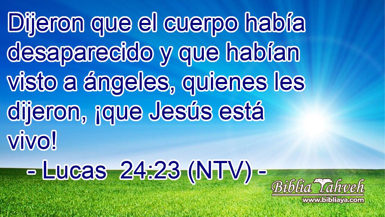 Dijeron que el cuerpo había desaparecido y que habían visto a ángeles, quienes les dijeron, ¡que Jesús está vivo!