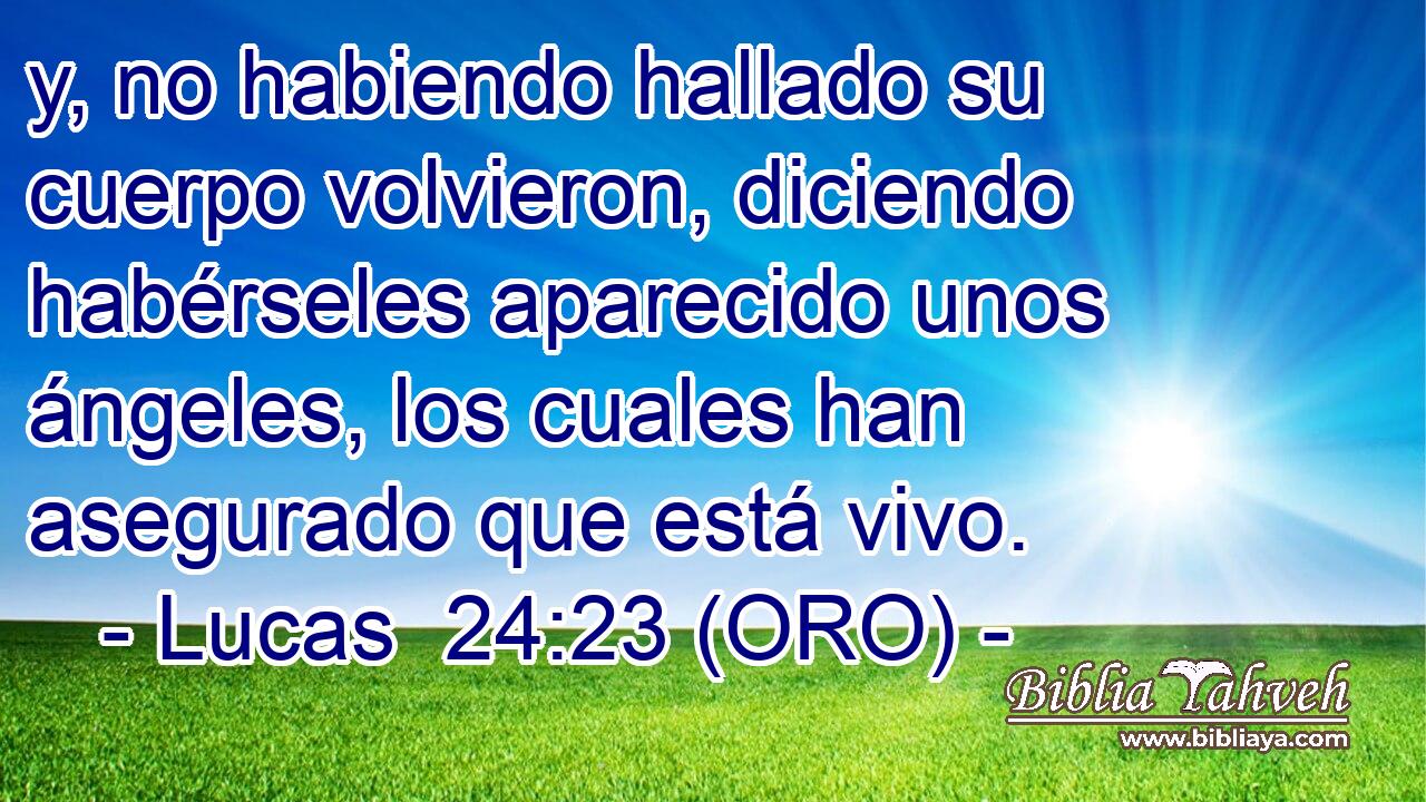  y, no habiendo hallado su cuerpo volvieron, diciendo habérseles aparecido unos ángeles, los cuales han asegurado que está vivo. 