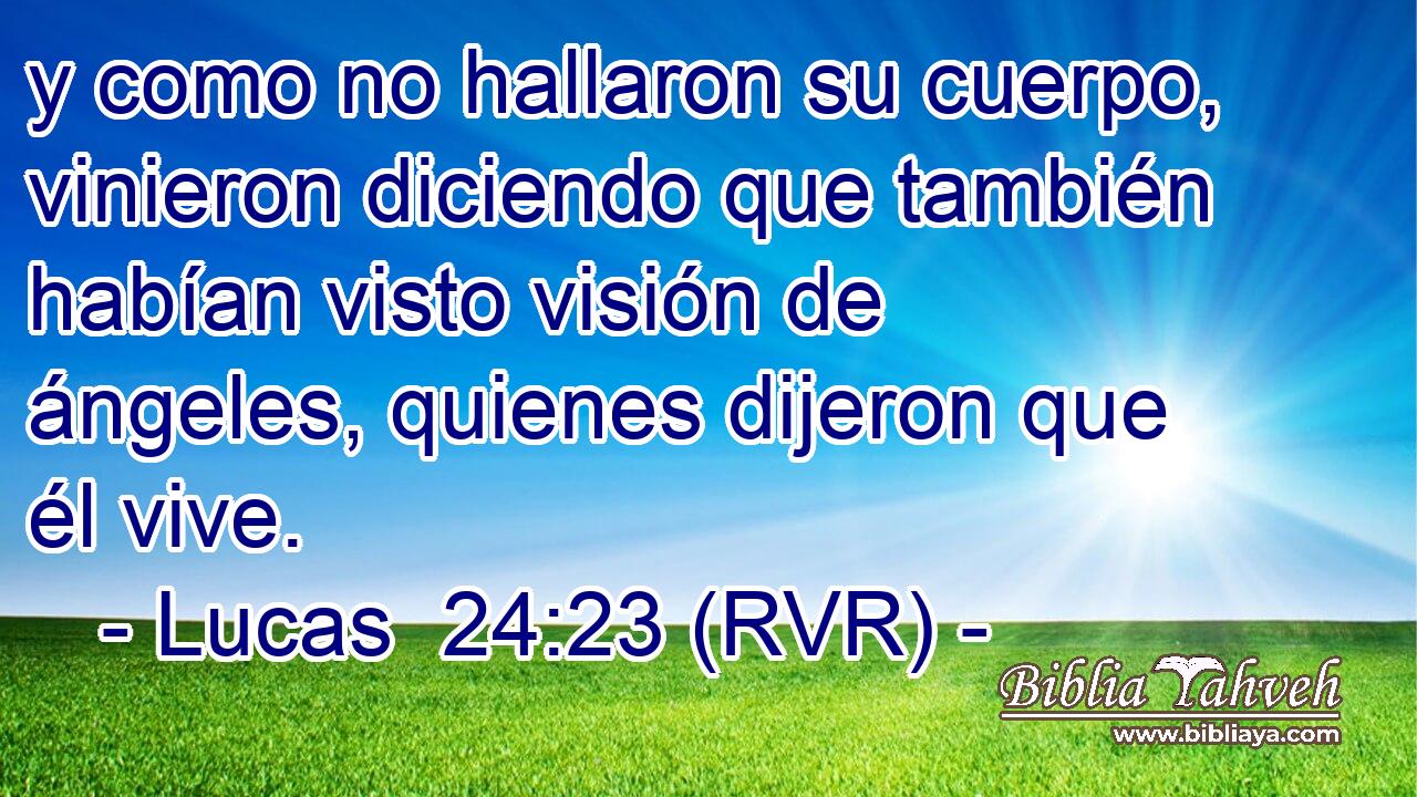 y como no hallaron su cuerpo, vinieron diciendo que también habían visto visión de ángeles, quienes dijeron que él vive.