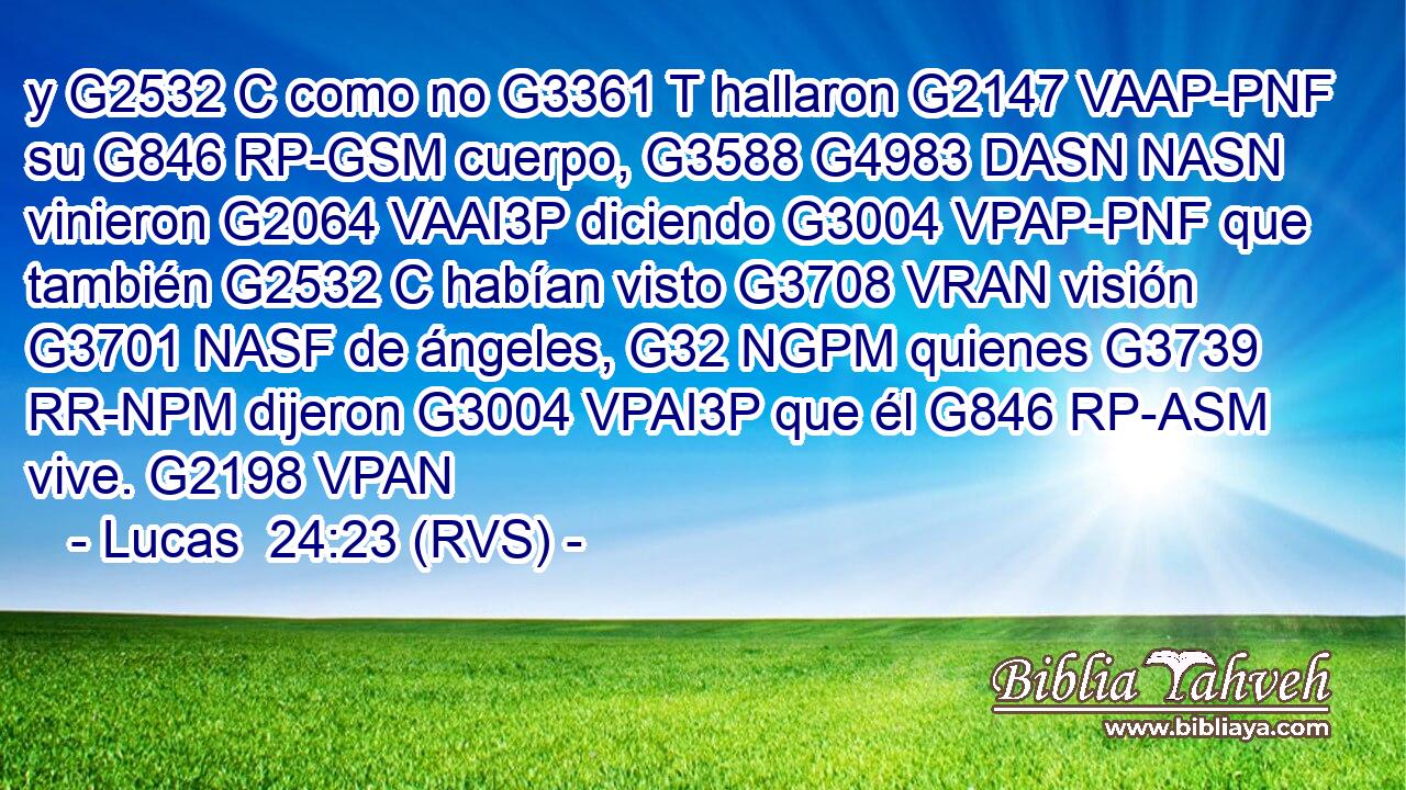 y G2532 C como no G3361 T hallaron G2147 VAAP-PNF su G846 RP-GSM cuerpo, G3588 G4983 DASN NASN vinieron G2064 VAAI3P diciendo G3004 VPAP-PNF que también G2532 C habían visto G3708 VRAN visión G3701 NASF de ángeles, G32 NGPM quienes G3739 RR-NPM dijeron G3004 VPAI3P que él G846 RP-ASM vive. G2198 VPAN 