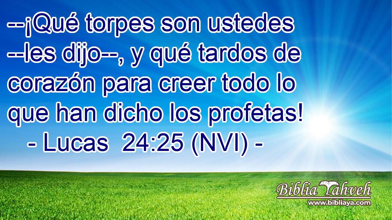  --¡Qué torpes son ustedes --les dijo--, y qué tardos de corazón para creer todo lo que han dicho los profetas! 