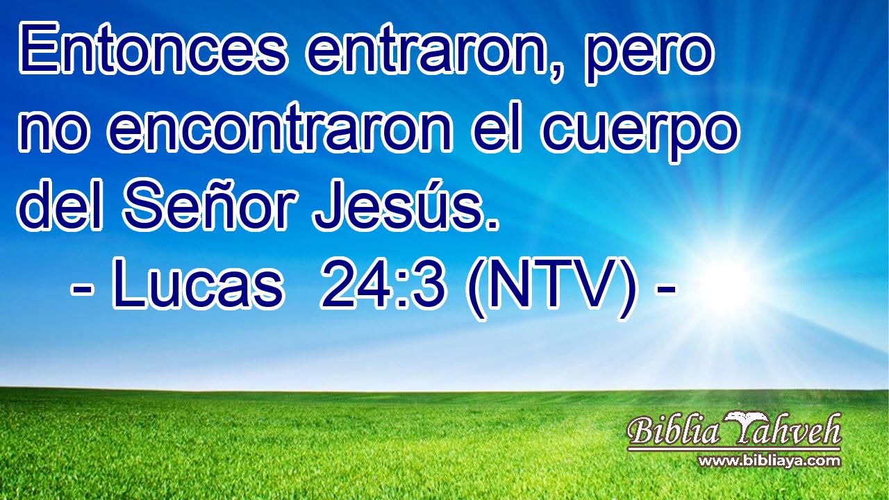 Entonces entraron, pero no encontraron el cuerpo del Señor Jesús.