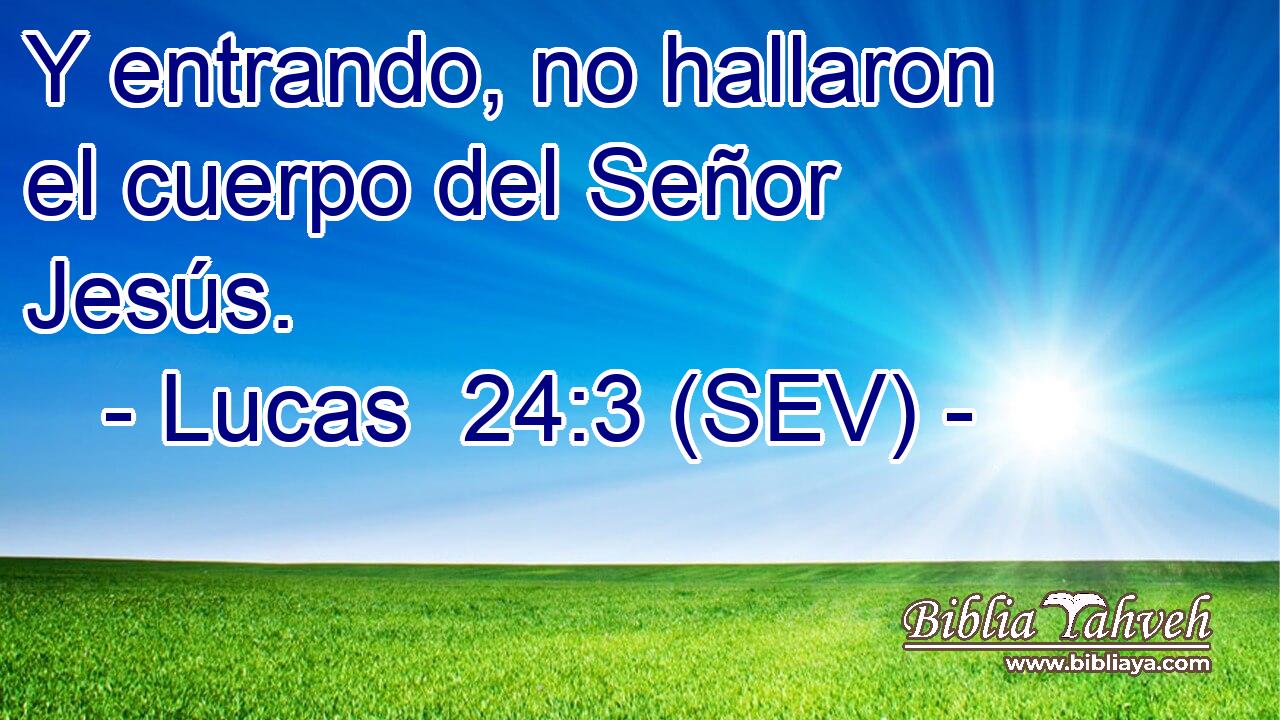 Y entrando, no hallaron el cuerpo del Señor Jesús.