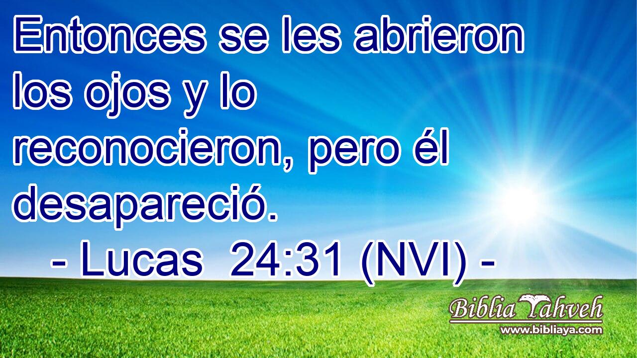  Entonces se les abrieron los ojos y lo reconocieron, pero él desapareció. 