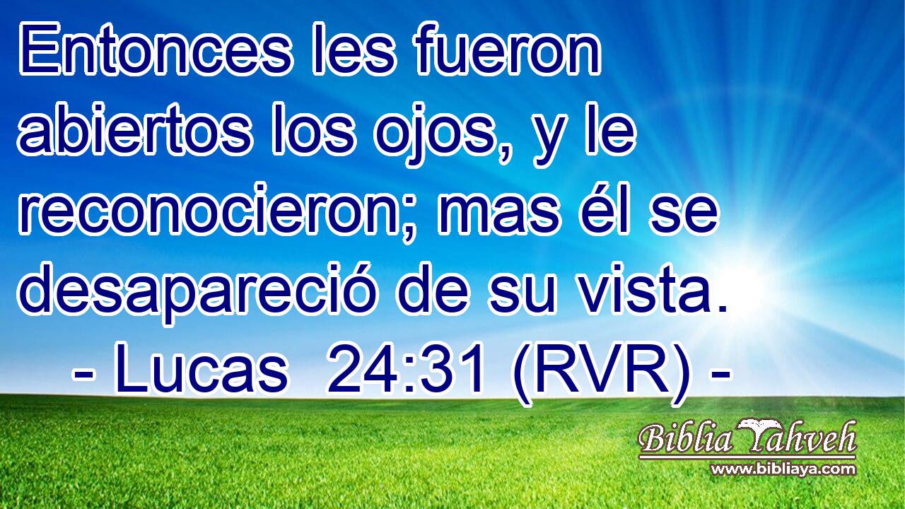 Entonces les fueron abiertos los ojos, y le reconocieron; mas él se desapareció de su vista.