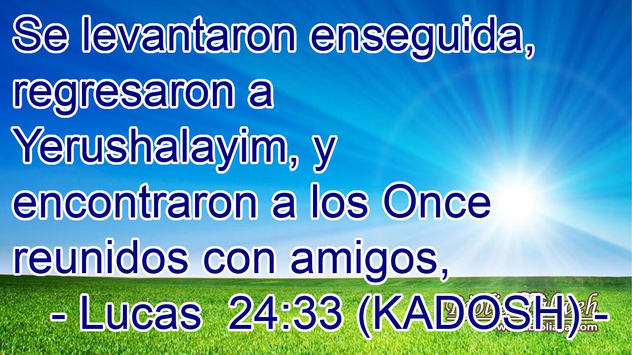  Se levantaron enseguida, regresaron a Yerushalayim, y encontraron a los Once reunidos con amigos, 