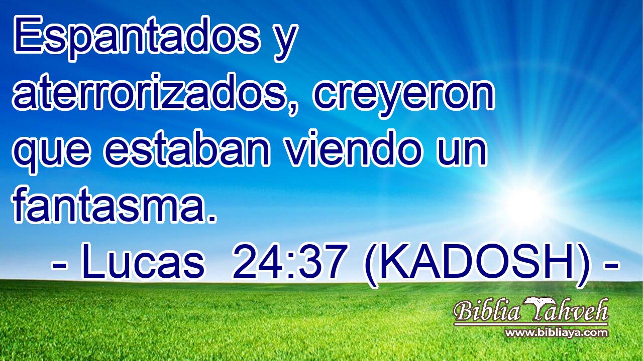  Espantados y aterrorizados, creyeron que estaban viendo un fantasma. 