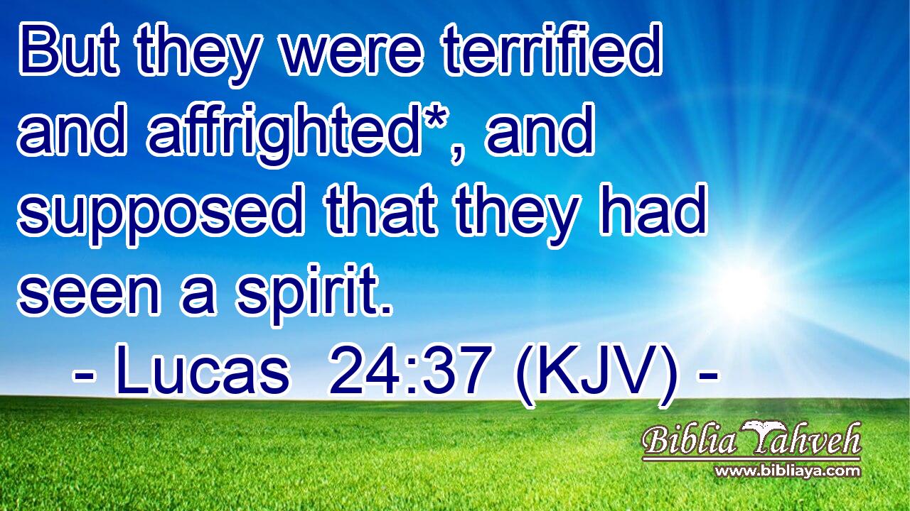But they were terrified and affrighted*, and supposed that they had seen a spirit.