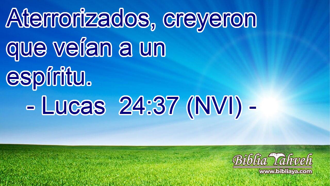  Aterrorizados, creyeron que veían a un espíritu. 