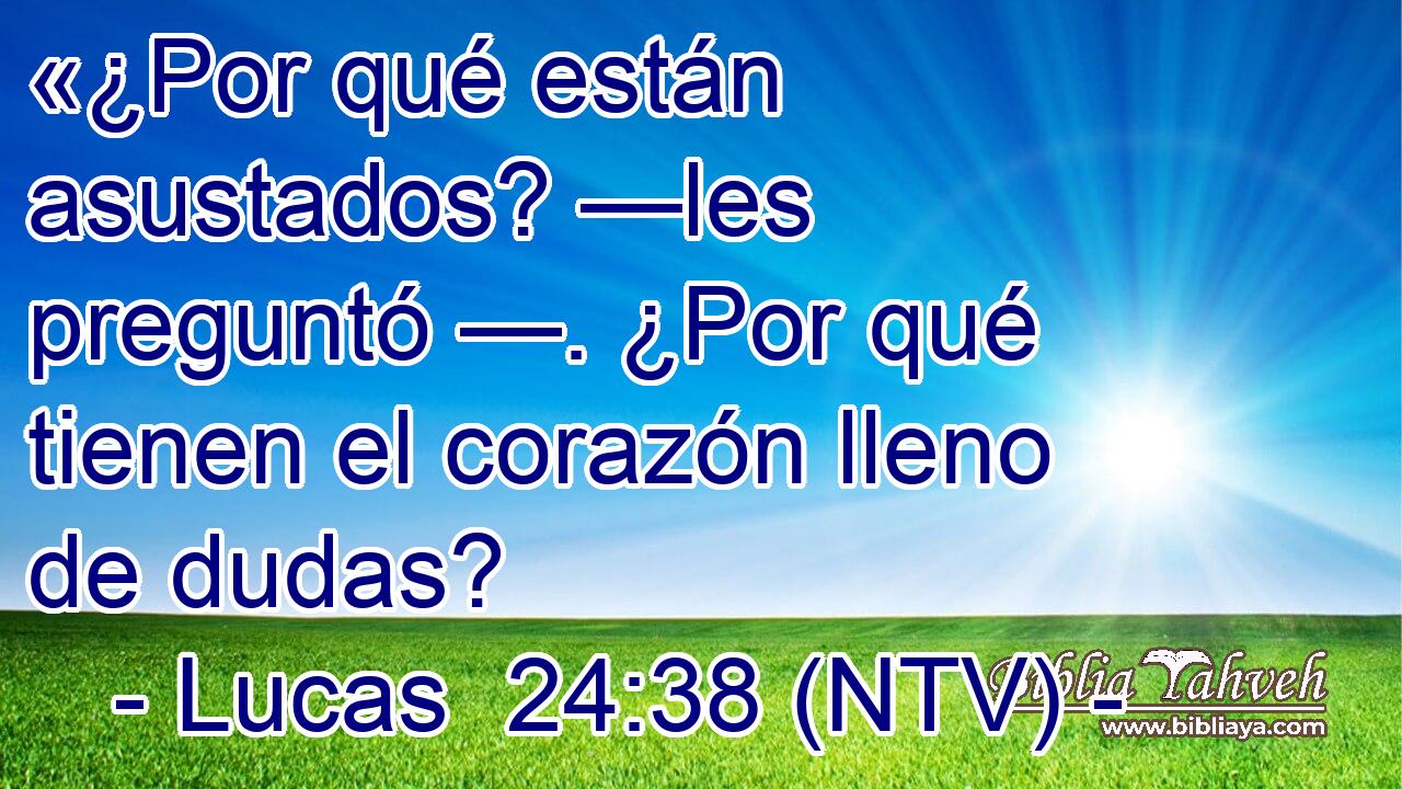 «¿Por qué están asustados? —les preguntó —. ¿Por qué tienen el corazón lleno de dudas?