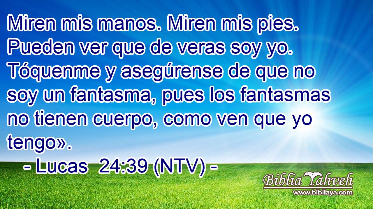 Miren mis manos. Miren mis pies. Pueden ver que de veras soy yo. Tóquenme y asegúrense de que no soy un fantasma, pues los fantasmas no tienen cuerpo, como ven que yo tengo».
