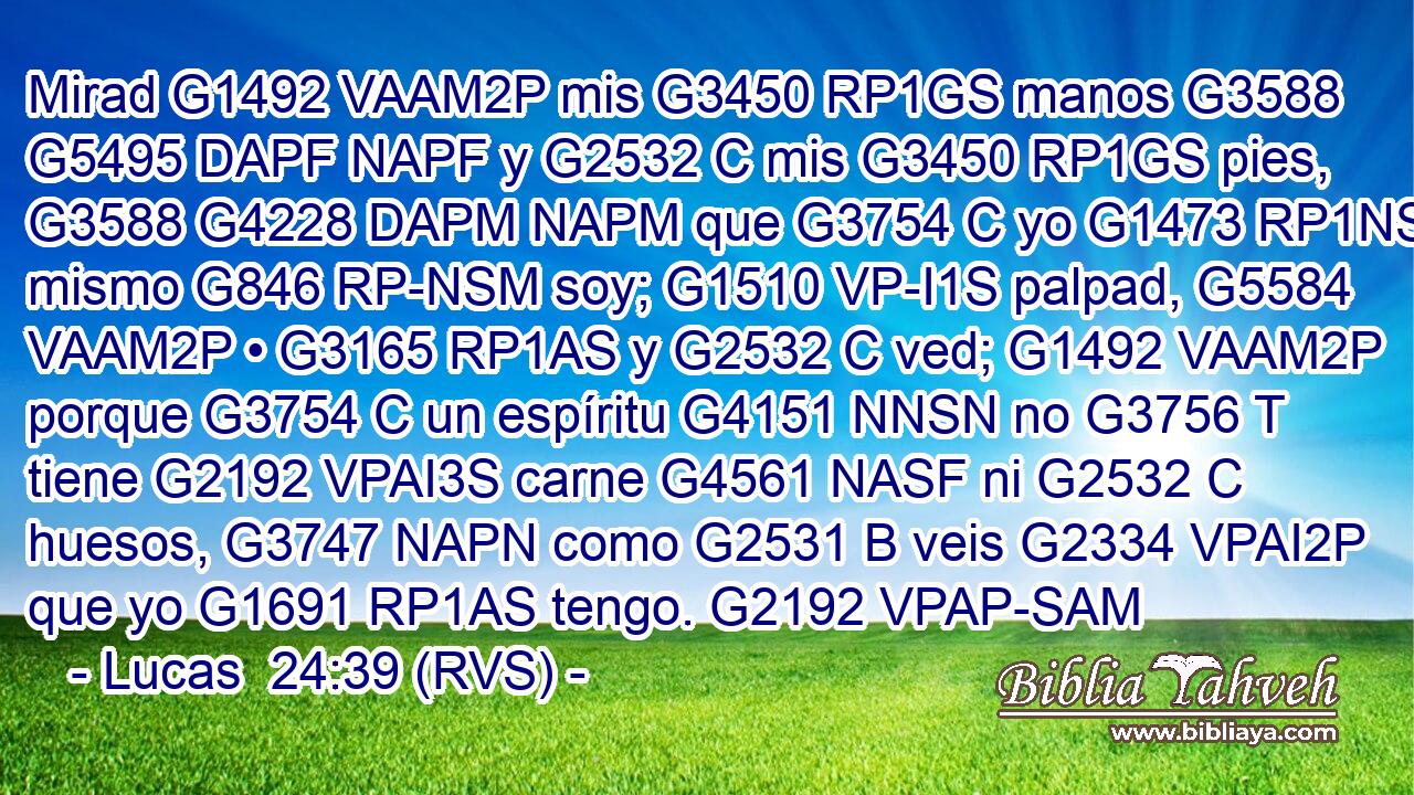 Mirad G1492 VAAM2P mis G3450 RP1GS manos G3588 G5495 DAPF NAPF y G2532 C mis G3450 RP1GS pies, G3588 G4228 DAPM NAPM que G3754 C yo G1473 RP1NS mismo G846 RP-NSM soy; G1510 VP-I1S palpad, G5584 VAAM2P • G3165 RP1AS y G2532 C ved; G1492 VAAM2P porque G3754 C un espíritu G4151 NNSN no G3756 T tiene G2192 VPAI3S carne G4561 NASF ni G2532 C huesos, G3747 NAPN como G2531 B veis G2334 VPAI2P que yo G1691 RP1AS tengo. G2192 VPAP-SAM 