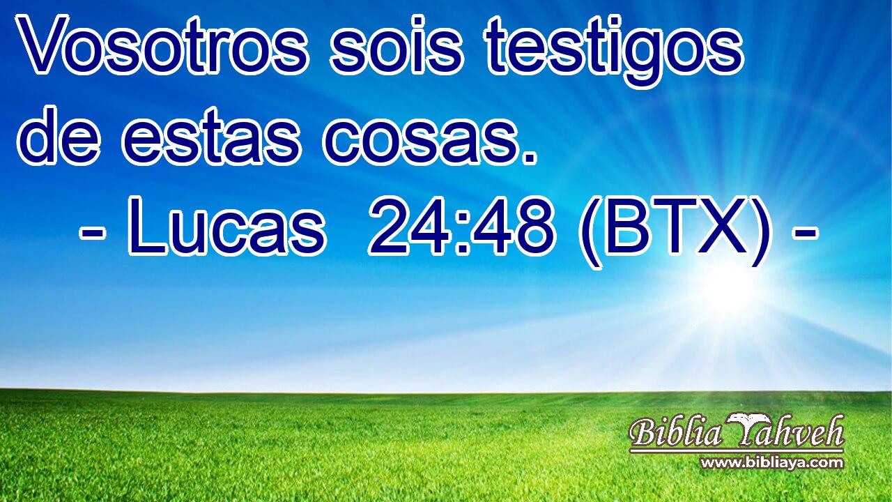 Vosotros sois testigos de estas cosas.