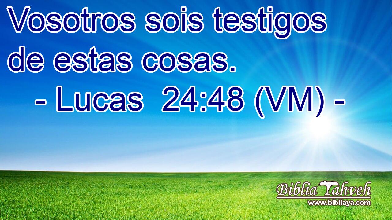  Vosotros sois testigos de estas cosas. 
