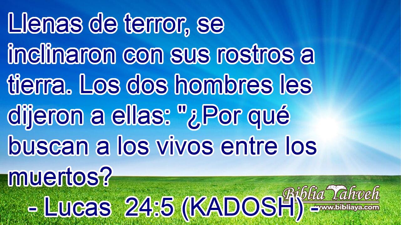  Llenas de terror, se inclinaron con sus rostros a tierra. Los dos hombres les dijeron a ellas: 