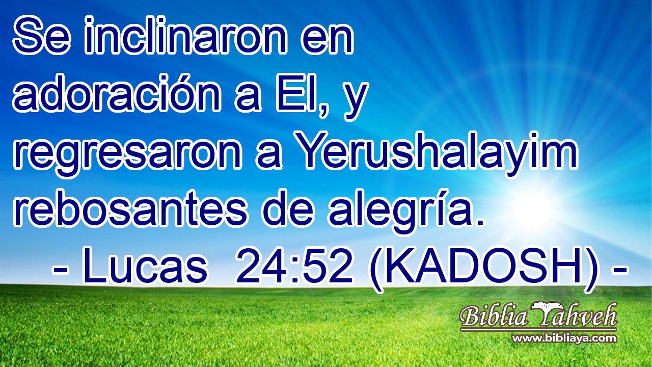  Se inclinaron en adoración a El, y regresaron a Yerushalayim rebosantes de alegría. 