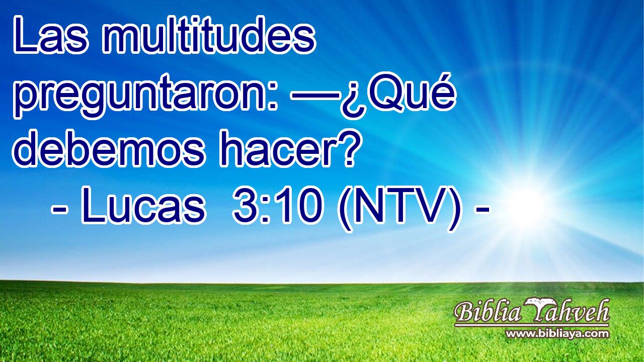 Las multitudes preguntaron: —¿Qué debemos hacer?