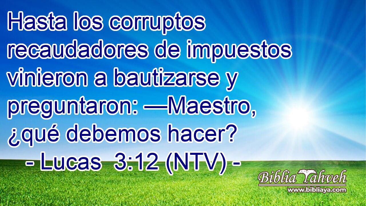 Hasta los corruptos recaudadores de impuestos vinieron a bautizarse y preguntaron: —Maestro, ¿qué debemos hacer?