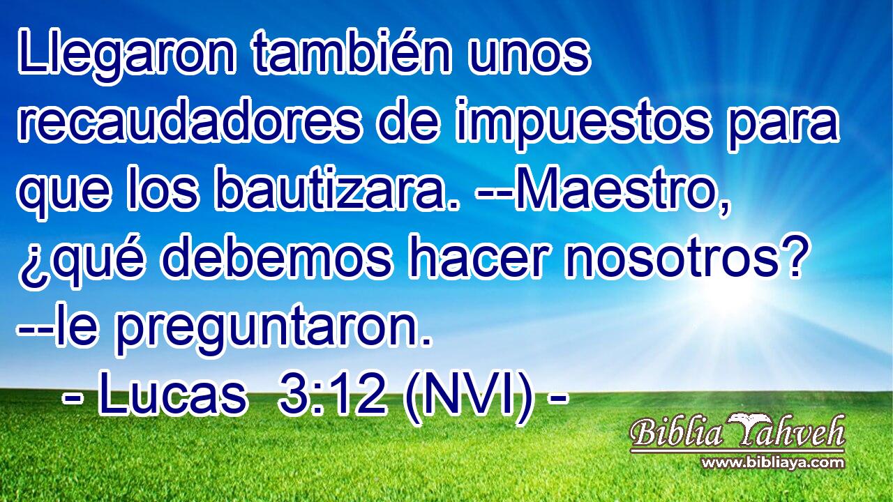  Llegaron también unos recaudadores de impuestos para que los bautizara. --Maestro, ¿qué debemos hacer nosotros? --le preguntaron. 