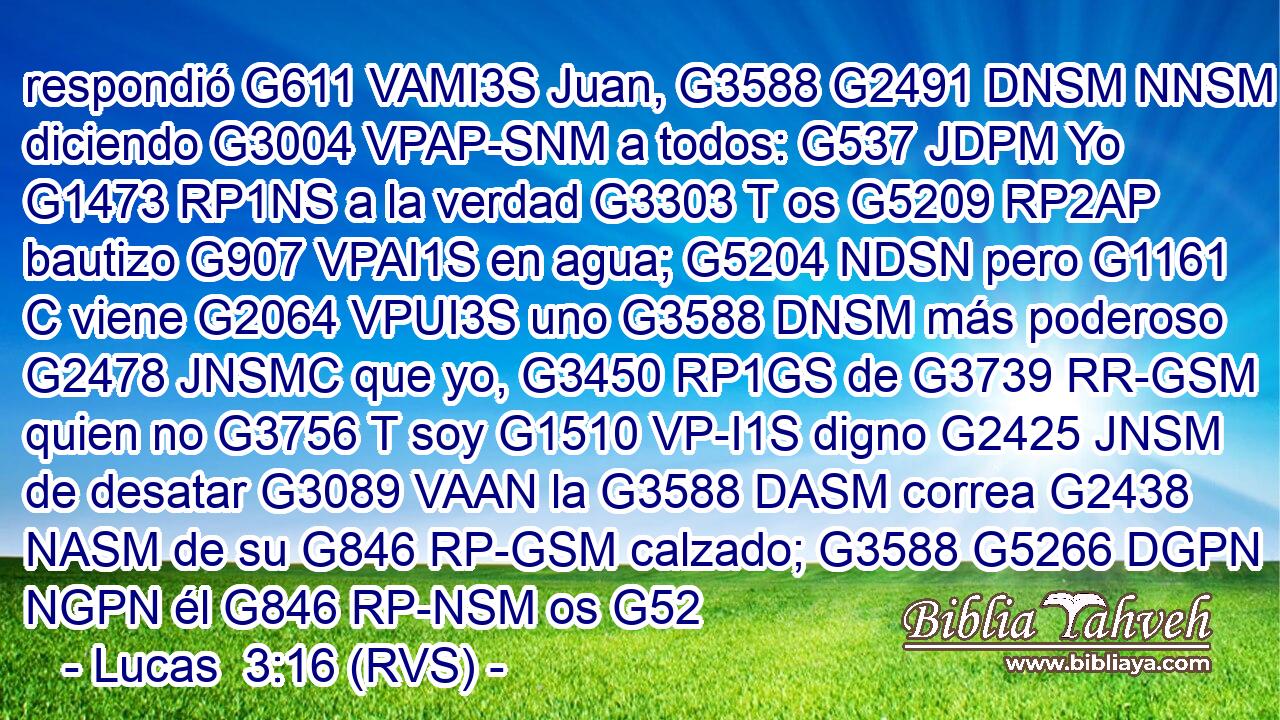 respondió G611 VAMI3S Juan, G3588 G2491 DNSM NNSM diciendo G3004 VPAP-SNM a todos: G537 JDPM Yo G1473 RP1NS a la verdad G3303 T os G5209 RP2AP bautizo G907 VPAI1S en agua; G5204 NDSN pero G1161 C viene G2064 VPUI3S uno G3588 DNSM más poderoso G2478 JNSMC que yo, G3450 RP1GS de G3739 RR-GSM quien no G3756 T soy G1510 VP-I1S digno G2425 JNSM de desatar G3089 VAAN la G3588 DASM correa G2438 NASM de su G846 RP-GSM calzado; G3588 G5266 DGPN NGPN él G846 RP-NSM os G52