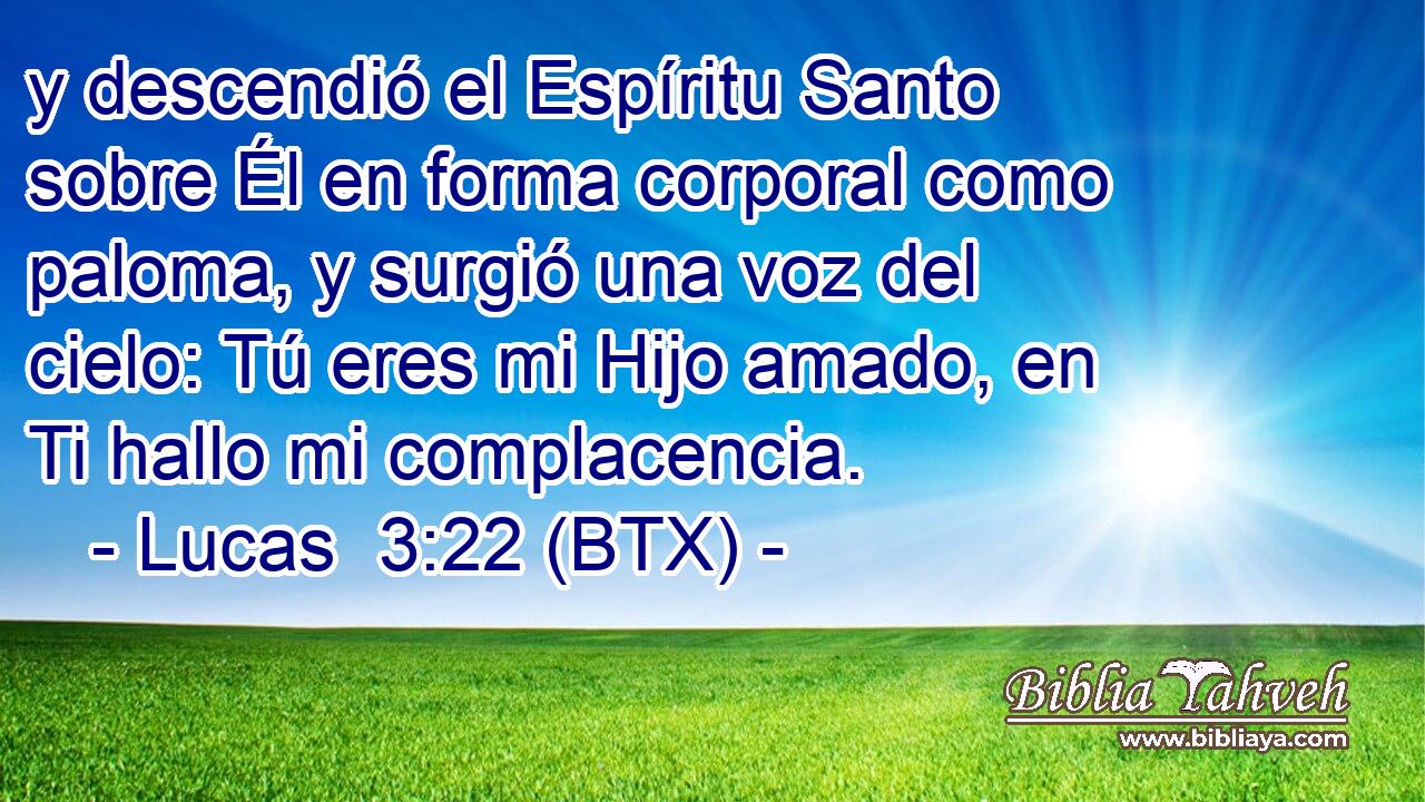 y descendió el Espíritu Santo sobre Él en forma corporal como paloma, y surgió una voz del cielo: Tú eres mi Hijo amado, en Ti hallo mi complacencia.
