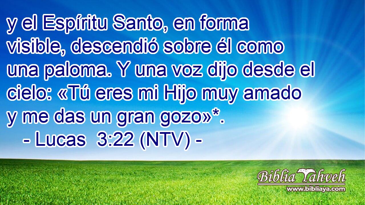 y el Espíritu Santo, en forma visible, descendió sobre él como una paloma. Y una voz dijo desde el cielo: «Tú eres mi Hijo muy amado y me das un gran gozo»*.