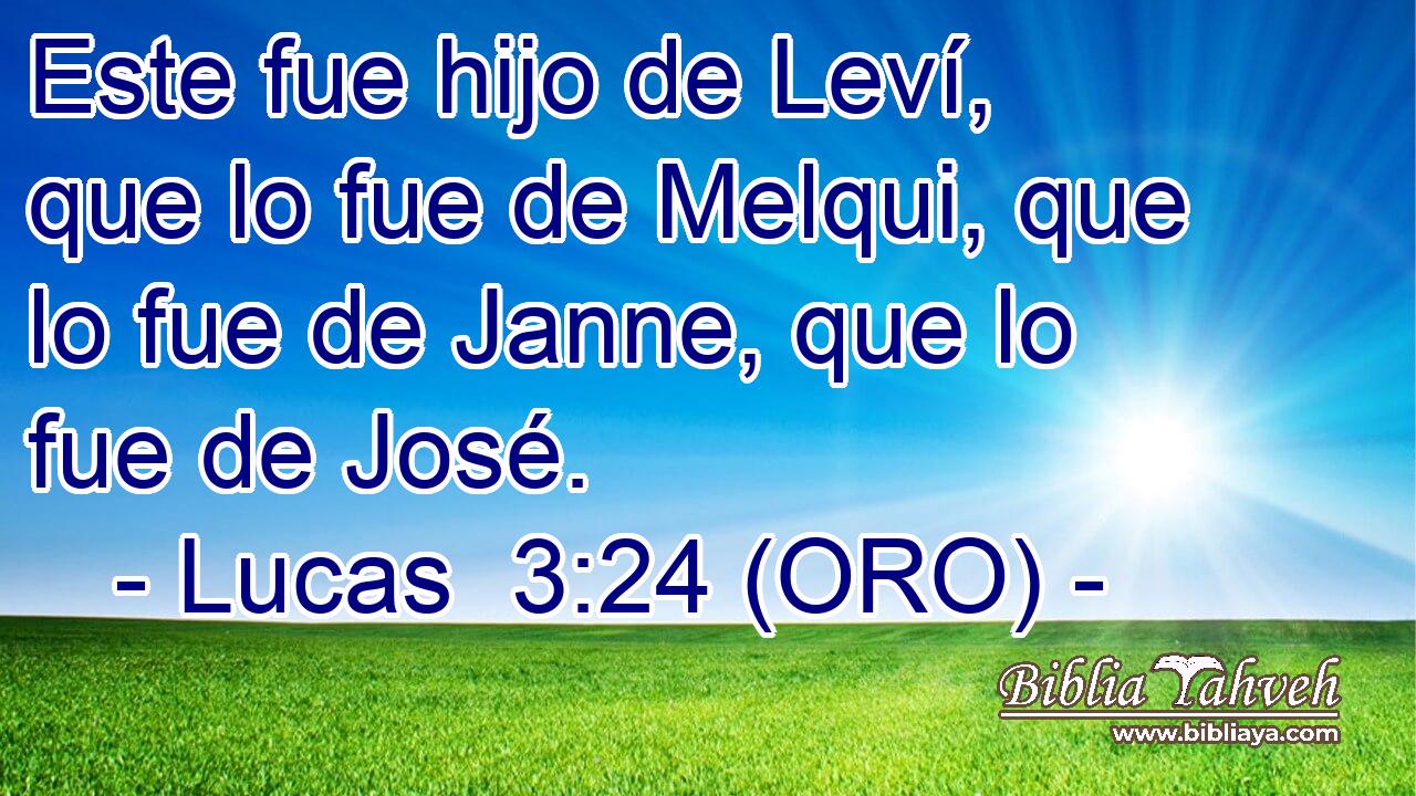  Este fue hijo de Leví, que lo fue de Melqui, que lo fue de Janne, que lo fue de José. 