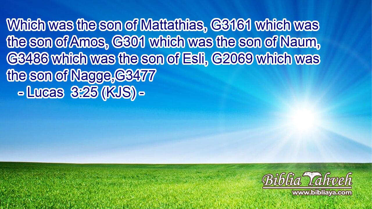 Which was the son of Mattathias, G3161 which was the son of Amos, G301 which was the son of Naum, G3486 which was the son of Esli, G2069 which was the son of Nagge,G3477