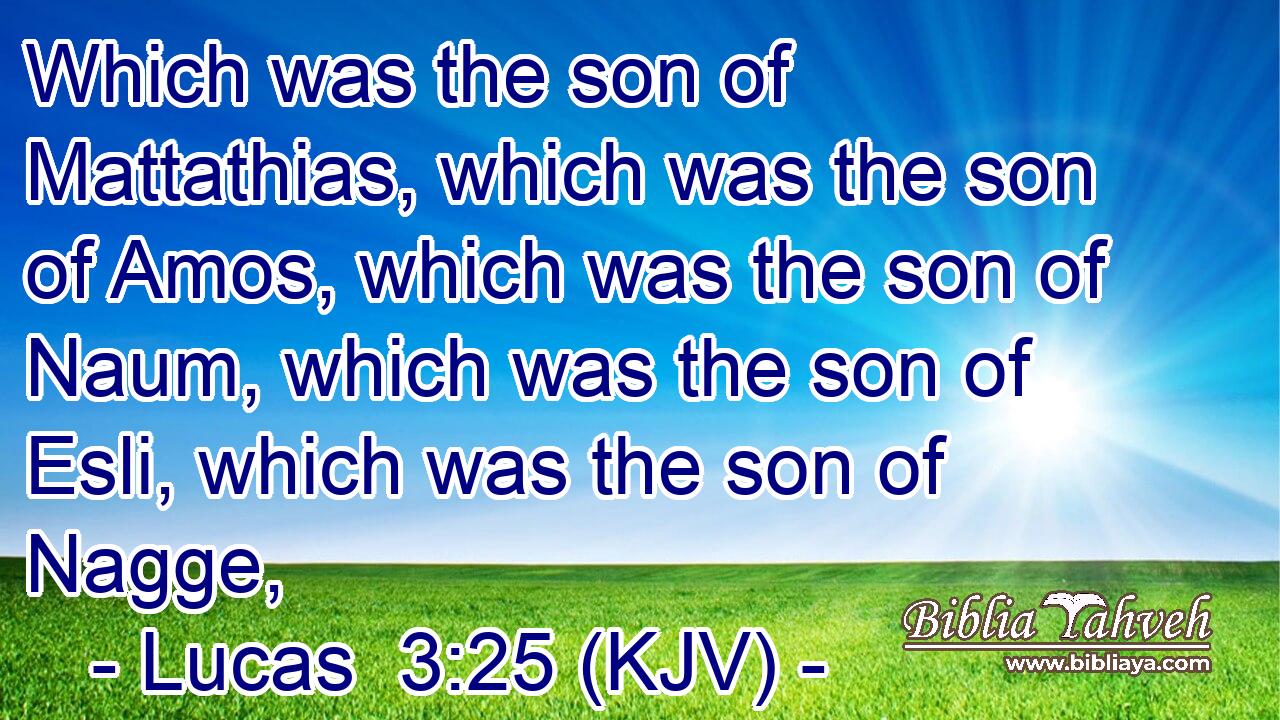 Which was the son of Mattathias, which was the son of Amos, which was the son of Naum, which was the son of Esli, which was the son of Nagge,