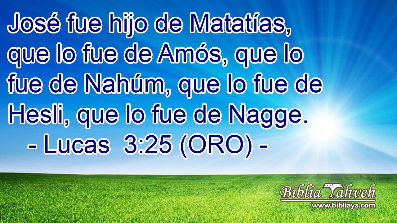  José fue hijo de Matatías, que lo fue de Amós, que lo fue de Nahúm, que lo fue de Hesli, que lo fue de Nagge. 