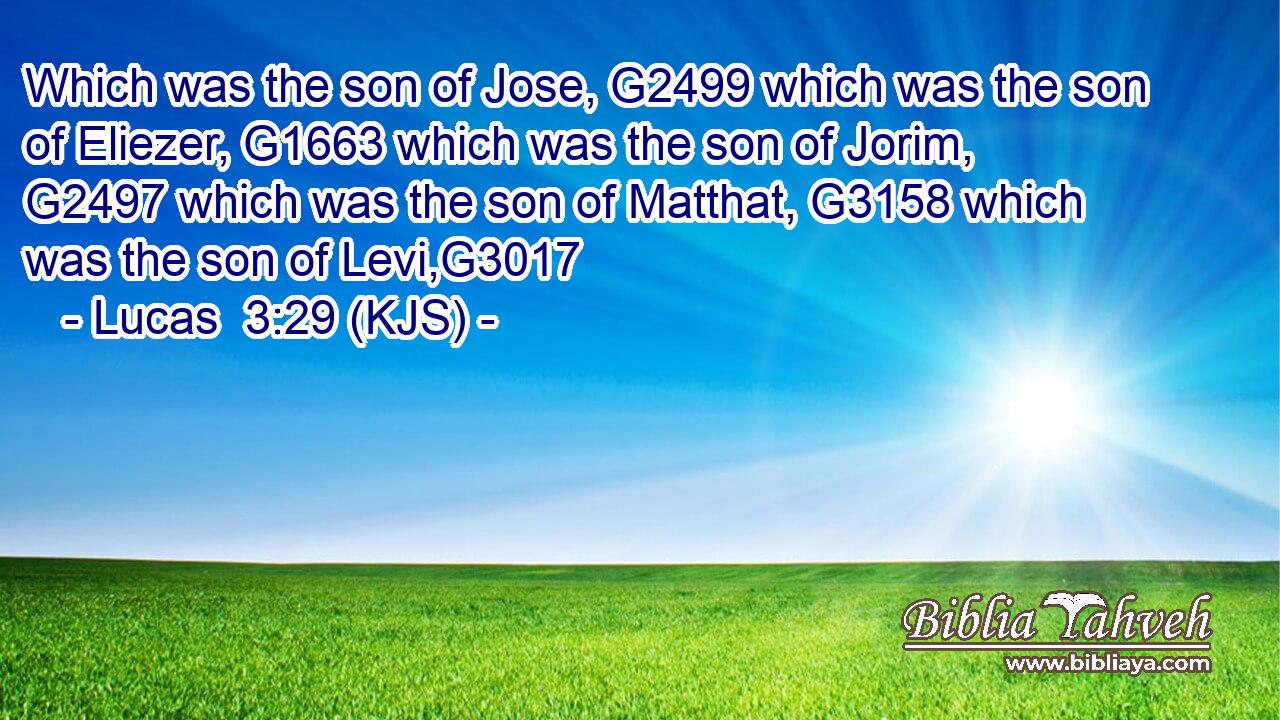 Which was the son of Jose, G2499 which was the son of Eliezer, G1663 which was the son of Jorim, G2497 which was the son of Matthat, G3158 which was the son of Levi,G3017